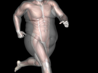 Fototapeta na wymiar Human man fat and slim concept isolated