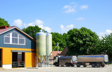 Milchtankwagen holt Milch vom Bauernhof, Sonnenschein