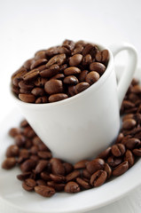 kaffeebohnen in einer tasse