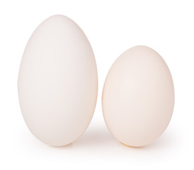 Two big goose eggs .Isolated on white background