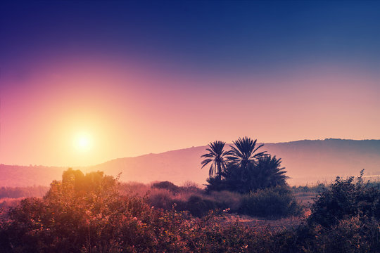 Magic sunrise over desert. Israel.