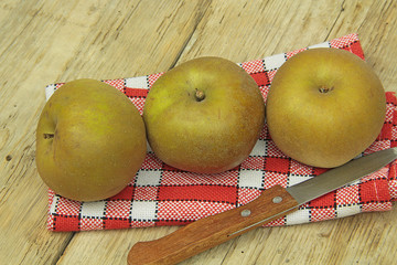 pommes 11022016