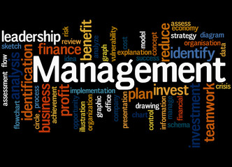 Management, word cloud concept 4