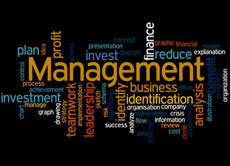 Management, word cloud concept 9