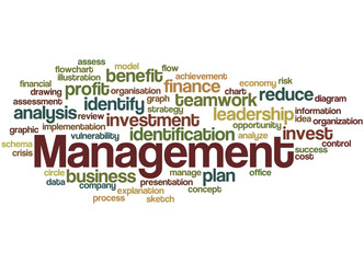 Management, word cloud concept