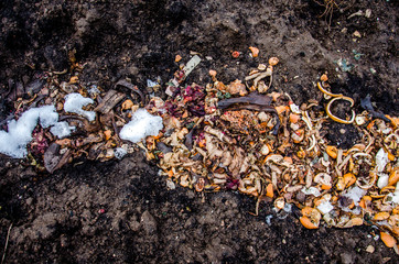 a pile of food waste, such  as eggshells and fruit and vegetable peels on the ground with snow. Composting pile of rotting kitchen fruits 