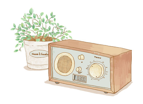 ラジオと植物