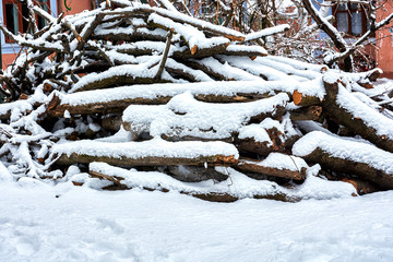  зимний этюд