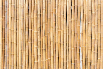 vertical bamboo background