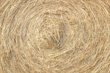 Hay bale