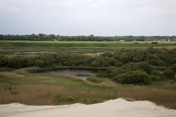 Fototapeta na wymiar Wetland (so called 