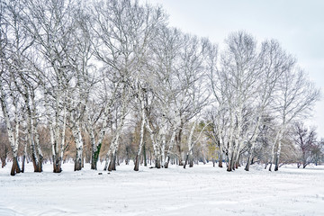 Зимний пейзаж