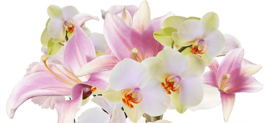 Lys rose clair et orchidée