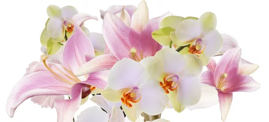 Photo sur Plexiglas Orchidée Lys rose clair et orchidée