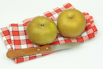 pommes 11022016