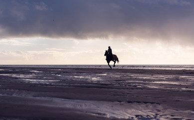 Silhouette of a woman horse riding free on a purple overcast beach at sunset