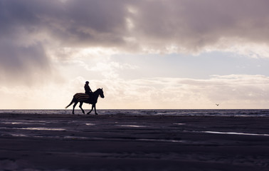 Silhouette of a woman horse riding free on a purple overcast beach at sunset