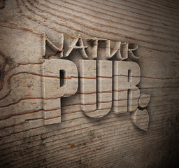 Natur Pur - Logo - Holz Typo 3d