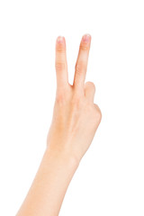 Woman Hand on White Background