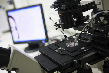 Lab equipment used in the in vitro fertilization process - 102504289