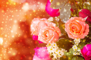 beautiful background with flowers roses