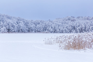 Nice winter day at lake after blizzard on which can ski already