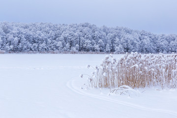 Nice winter day at lake after blizzard on which can ski already