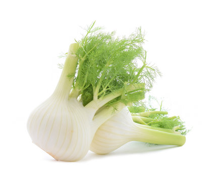 Fenchel ist popular Gemüse mit weißen Knolle und Grünem