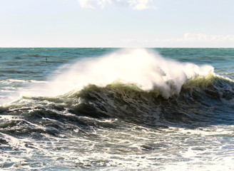 wave with spray in backlight