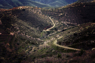 Ancient road in Foz Coa, Portugal