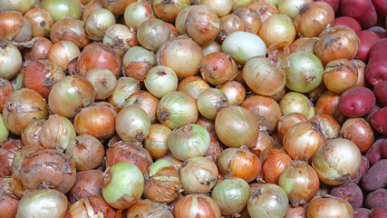 Onions