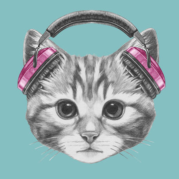 Portrait of Cat with headphones. Hand drawn illustration.