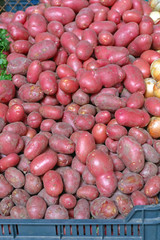 Red Potato