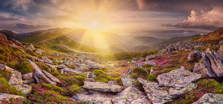 Panorama with Flowers and Rainbow