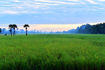 Sunrise in Cambodia countryside