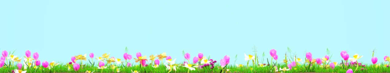 Spring meadow with sunny flowers. 3d rendering