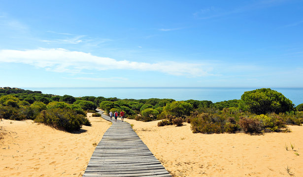 Paraje de Cuesta Maneli en el Parque Nacional de Doñana, provincia de Huelva, España