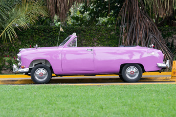 Old purple car parked in the green garden