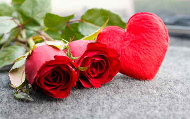 Romantic roses , love ,valentine concept.