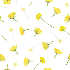 Repeatable yellow sliced roses pattern, studio photographed and isolated on absolute white