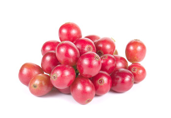 Fresh coffee beans,Fresh red beans on white background.