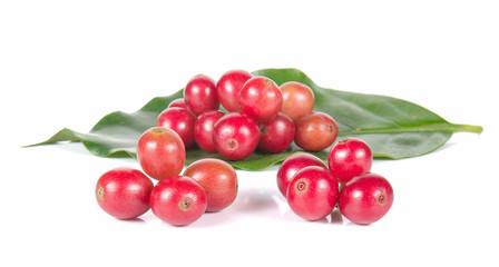 Fresh coffee beans,Fresh red beans on white background.