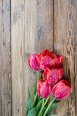 Red tulip flower on wooden table