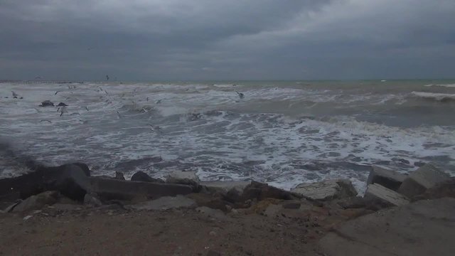 Storm