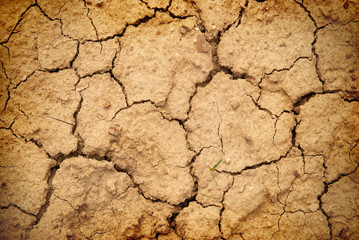 Dry soil