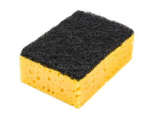 sponge 1