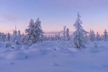 Fototapeta premium Winter landscape with forest, cloudy sky and sun 