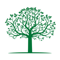 Green Tree and Leafs. Vector Illustration.