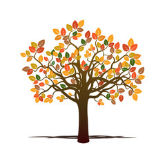 Fototapeta na wymiar Autumn Tree. Vector Illustration.