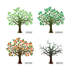 Colection of Four Season Trees. Vector Illustration.